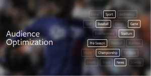 Facebook audience optimisation