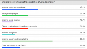 Webinar poll results - .brand domains with Neustar and ClickZ