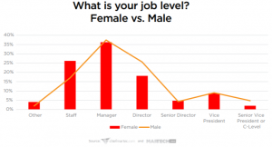 job levels in martech for male vs female