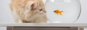 is martech a threat to marketing jobs?