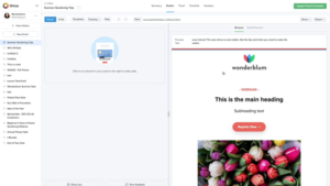 Email preview using Litmus